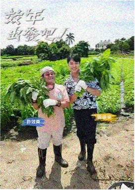 资讯配图 标签体系调整